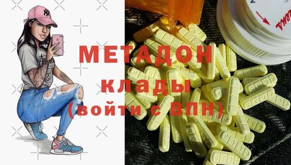 прущие грибы Елизово