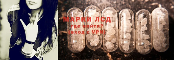 прущие грибы Елизово