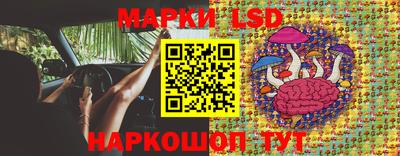 гашишное масло Берёзовский