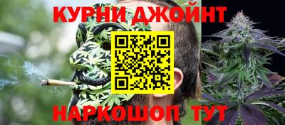 гашик Ирбит
