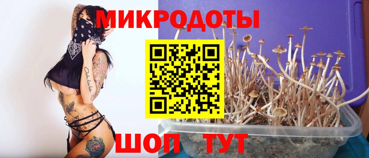 Галлюциногенные грибы мухоморы Десногорск