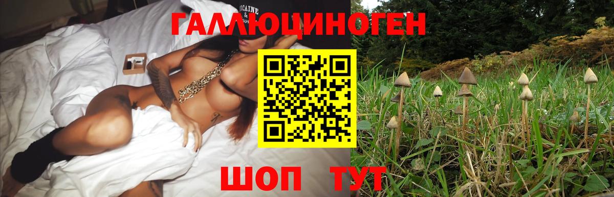 Галлюциногенные грибы мицелий  Псилоцибиновые грибы Magic Shrooms  Десногорск  Вход с VPN 
