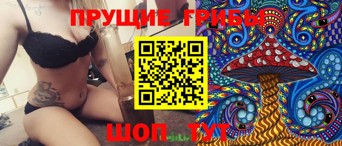 Галлюциногенные грибы Psilocybine cubensis  Десногорск 